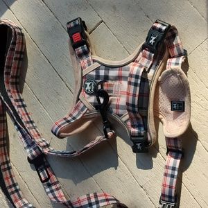 Plad Poly Pet leash and harness